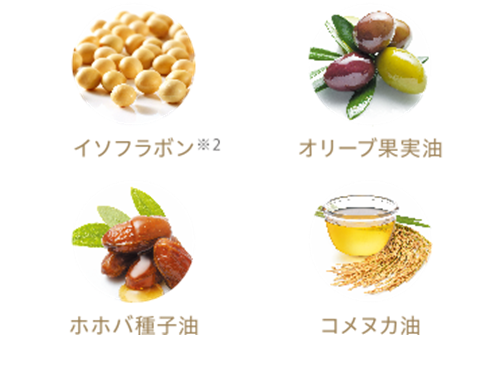 【洗う】【オイルで優しく洗ってしっかり保湿・サロン専売品】URULYウルリー クレンジングオイル