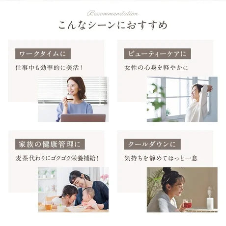 なつめのお茶 ジンジャー 10P