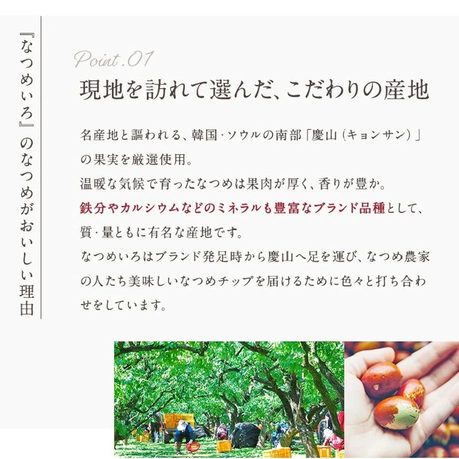 なつめのチョコチップ ビター