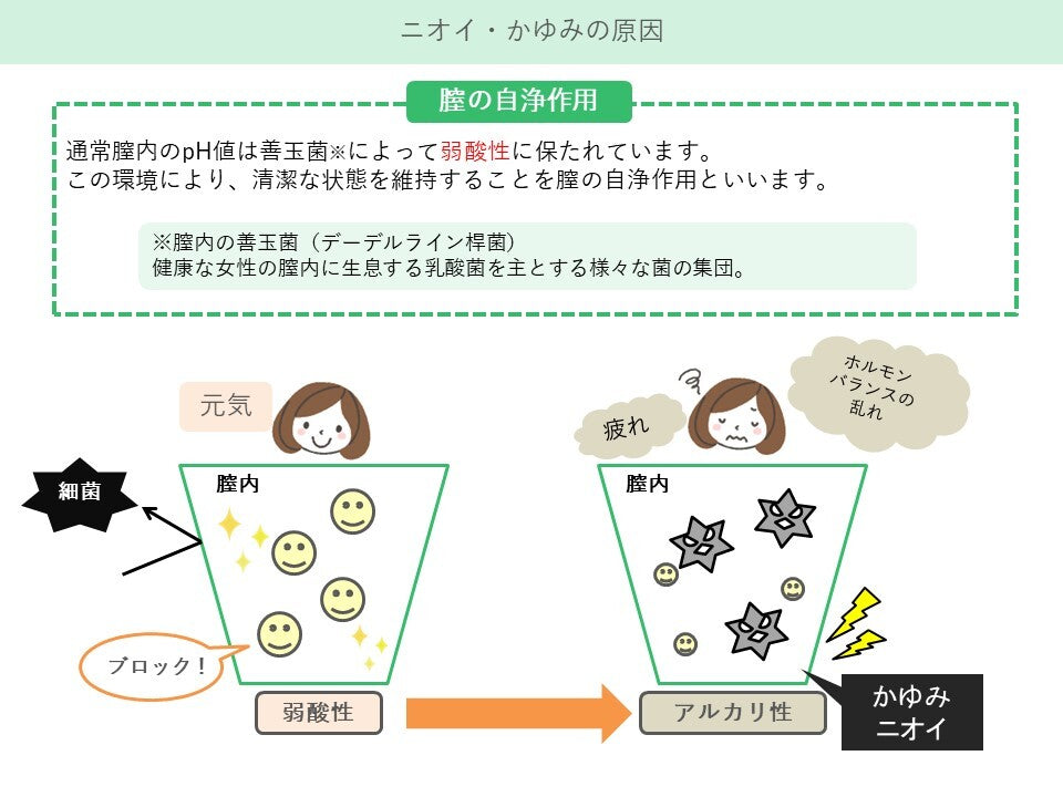【膣洗浄器】【おりものやニオイによるデリケートゾーンの不快感を洗浄】ゼリープラスメディカル 3本入り